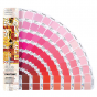 Wzorniki Pantone Plus Color Bridge Uncoated Set - Pantone GP6102, Wzorniki Pantone Wrocław