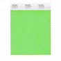 Pojedyncza próba koloru Pantone Fashion and Home Nylon Brights Swatch Card - Pantone 13-0340 TN Green Gecko - Wzorniki Pantone Wrocław