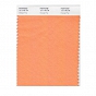 Pojedyncza próba koloru Pantone Fashion and Home Nylon Brights Swatch Card - Pantone 13-1145 TN Orange Pop - Wzorniki Pantone Wrocław