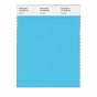 Pojedyncza próba koloru Pantone Fashion and Home Nylon Brights Swatch Card - Pantone 14-4530 TN Bluefish - Wzorniki Pantone Wrocław