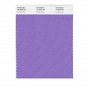 Pojedyncza próba koloru Pantone Fashion and Home Nylon Brights Swatch Card - Pantone 16-3828 TN Purple Hebe - Wzorniki Pantone Wrocław