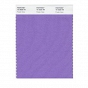 Pojedyncza próba koloru Pantone Fashion and Home Nylon Brights Swatch Card - Pantone 16-3828 TN Purple Hebe - Wzorniki Pantone Wrocław