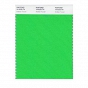 Pojedyncza próba koloru Pantone Fashion and Home Nylon Brights Swatch Card - Pantone 16-6230 TN Andean Toucan - Wzorniki Pantone Wrocław
