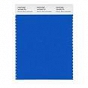 Pojedyncza próba koloru Pantone Fashion and Home Nylon Brights Swatch Card - Pantone 18-4245 TN Electric Blue Lemonade - Wzorniki Pantone Wrocław