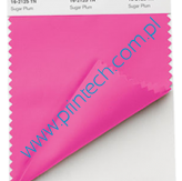 Pojedyncze próbki kolorów Pantone Fashion + Home Nylon Brights Swatch Card