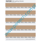 Pantone Lighting Indicator Stickers D50